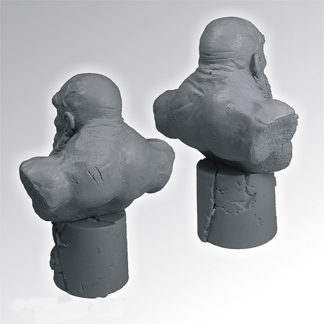 Dwarf Warrior 135 mm Bust
