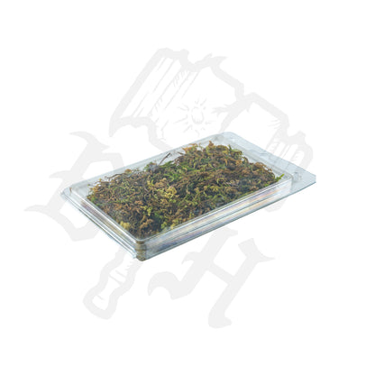 Basing & Terrain Loose Mossy Ground Cover - Yellow Green